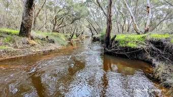 Farm Property for Sale - Lot 10 Woodbine Road Regans Ford WA 6507