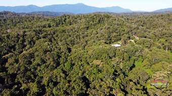 Farm Property for Sale - Butchers Creek QLD 4885