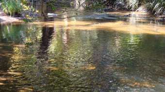 Farm Property for Sale - Koah QLD 4881