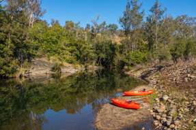Farm Property for Sale - 175 Mount Seaview Road Mount Seaview NSW 2446