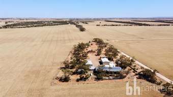 Farm Property for Sale - 23 Punthari Road Angas Valley SA 5238