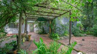 Farm Property for Sale - 127 Roses Road Collombatti NSW 2440