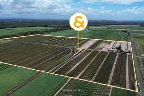 453 Lindemans Road Moore Park Beach QLD 4670