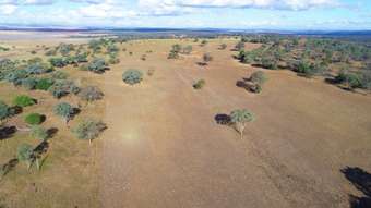 Farm Property for Sale - 150 Millbrook Back Plains Road Ellangowan QLD 4361