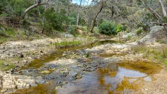 Farm Property for Sale - Lot 74 Cullerin Road Cullerin NSW 2581