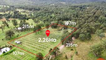 Farm Property for Sale - 124a Duns Creek Road Duns Creek NSW 2321