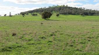 Farm Property for Sale - Roselea 180 Arthurville Road Geurie NSW 2818