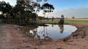 Farm Property for Sale - 407 Logan-Wedderburn Road Wedderburn VIC 3518