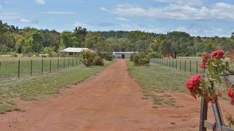 Farm Property for Sale - 394 QUAKER TOMMY ROAD Coonabarabran NSW 2357