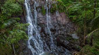 Farm Property for Sale - 137 Mill Road Huonbrook NSW 2482