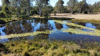 Farm Property for Sale - 120 Settlement Road Curra QLD 4570