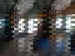 Farm Property for Sale - 1534 AB Paddy's Flat Road Tabulam NSW 2469