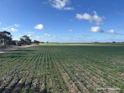 Farm Property for Sale - . "Morgans", White Well & Mt Pleasant Roads Dumbleyung WA 6350