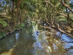 Farm Property for Sale - 689 The Bucketts Way Stroud Road NSW 2415