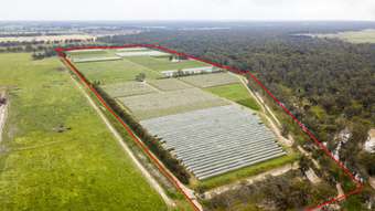 Farm Property for Sale - 805 Dougan Road Coomboona VIC 3629