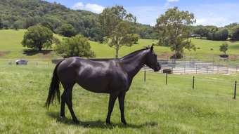 Farm Property for Sale - 32 Kellys Road Eungella NSW 2484