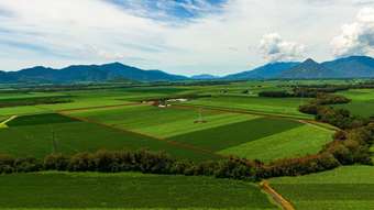 Farm Property for Sale - 101 Page Road Edmonton QLD 4869