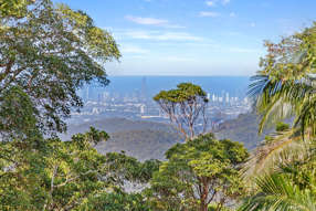 Farm Property for Sale - 19-23 Munro Court Tamborine Mountain QLD 4272