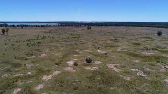 Farm Property for Sale -  Chinchilla Tara Road Wieambilla QLD 4413