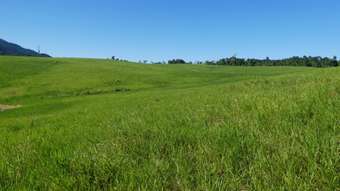 Farm Property for Sale - Garradunga QLD 4860