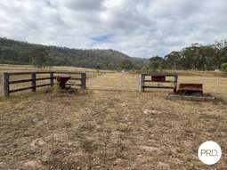Farm Property for Sale - Block 18 Ferndale Road Yarrawa NSW 2328