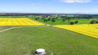 Farm Property for Sale - 559 Old Stone Tank Road Mundulla SA 5270