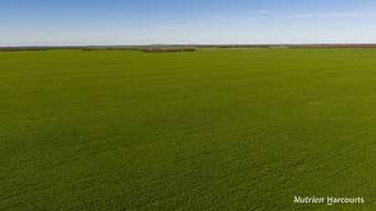 Farm Property for Sale - . Styles Road Scaddan WA 6447