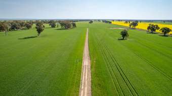 Farm Property for Sale - 383 O&amp;apos;Brien Road Springhurst VIC 3682
