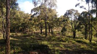 Farm Property for Sale - Coolah NSW 2843