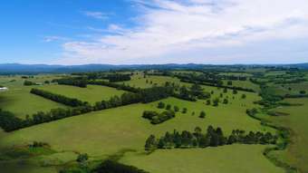 Farm Property for Sale - Dorrigo NSW 2453