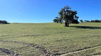 Farm Property for Sale - 201 Mahomet Road Dandaragan WA 6507