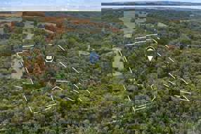 Farm Property for Sale - 189 Gellibrand River Road Gellibrand Lower VIC 3237