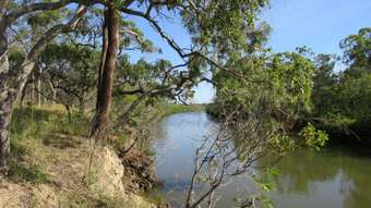 Farm Property for Sale - 5 Dicksons Access Road Yandaran QLD 4673