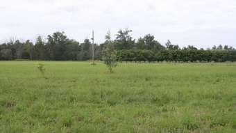 Farm Property for Sale - Bungadoo QLD 4671