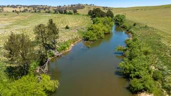 Farm Property for Sale - 684 White Rock Road White Rock NSW 2795