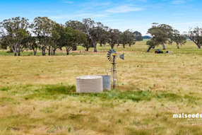 Farm Property for Sale - 127 Kentish Road Mingbool SA 5291