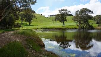 Farm Property for Sale - 5474 Main South Road Wattle Flat SA 5203