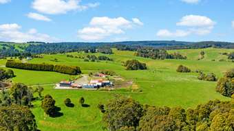 Farm Property for Sale - 245 Phillips Track Beech Forest VIC 3237