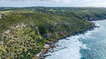 Farm Property for Sale -  Cape Hart Road Porky Flat SA 5222