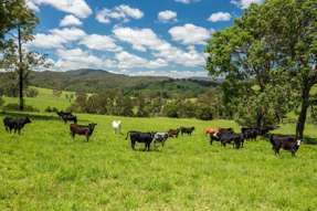 310 Yessabah Road Yessabah NSW 2440