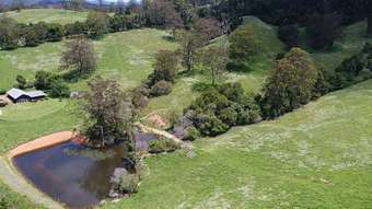 Farm Property for Sale - 72 Briggsvale Road Dorrigo NSW 2453