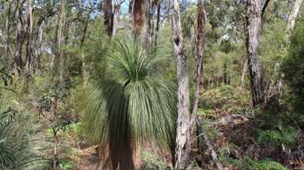 Farm Property for Sale - 245 McCalls Road Yeodene VIC 3249