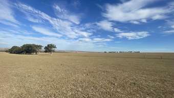 Farm Property for Sale - . Allanooka Farm Allanooka WA 6525