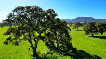 Farm Property for Sale - 102 Hillman Road Middle Creek VIC 3375
