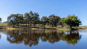 Farm Property for Sale - 2439 Mitchell Highway Vittoria NSW 2799