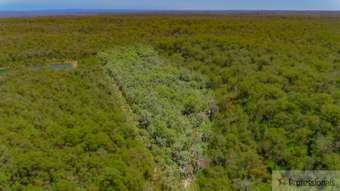 Farm Property for Sale - NL 11593 Stirling Track Channybearup WA 6260