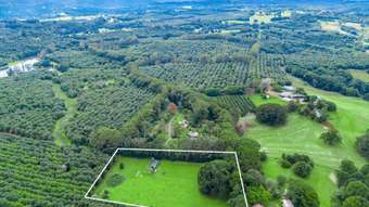 Farm Property for Sale - 17 Springvale Road Nashua NSW 2479