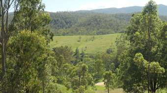 Farm Property for Sale -  Rocky River Road Rocky River NSW 2372