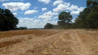 Farm Property for Sale -  Cas 15a, B, C &amp; Cas 16a, B, E &amp; F River Road Charlton VIC 3525