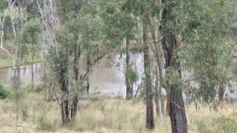 Farm Property for Sale - 855 Walla Road Morganville QLD 4671